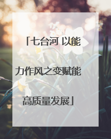 七台河 以能力作风之变赋能高质量发展