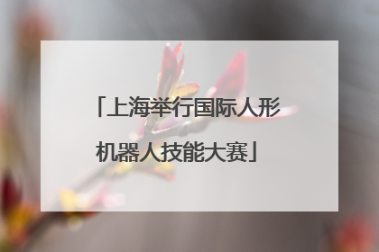 上海举行国际人形机器人技能大赛