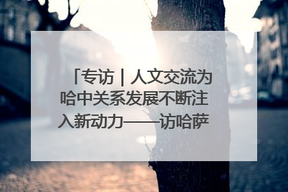 专访｜人文交流为哈中关系发展不断注入新动力——访哈萨克斯坦文化与信息部部长巴拉耶娃