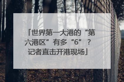 世界第一大港的“第六港区”有多“6”？记者直击开港现场