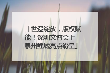 世遗绽放，版权赋能！深圳文博会上 泉州鲤城亮点纷呈