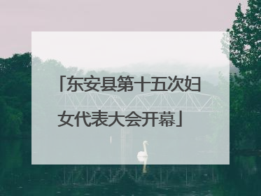 东安县第十五次妇女代表大会开幕