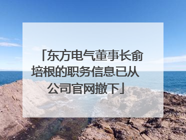 东方电气董事长俞培根的职务信息已从公司官网撤下