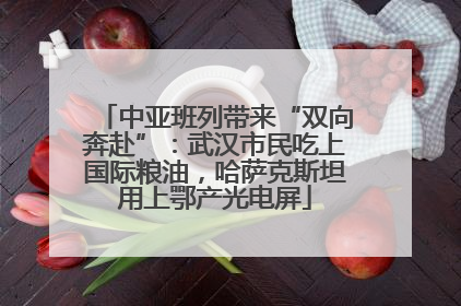 中亚班列带来“双向奔赴”：武汉市民吃上国际粮油，哈萨克斯坦用上鄂产光电屏