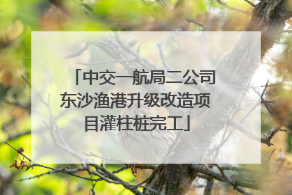 中交一航局二公司东沙渔港升级改造项目灌柱桩完工
