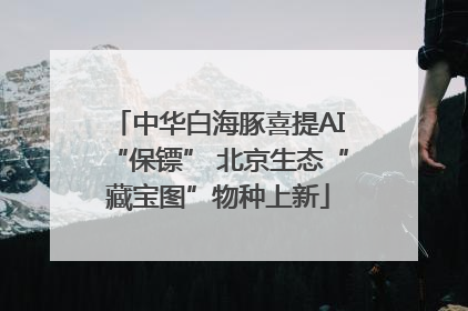 中华白海豚喜提AI“保镖” 北京生态“藏宝图”物种上新