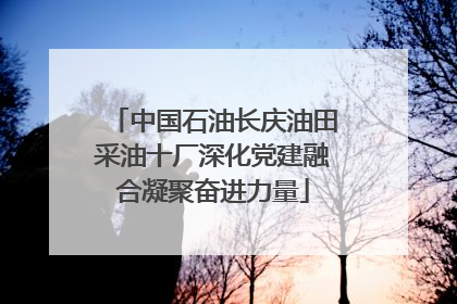 中国石油长庆油田采油十厂深化党建融合凝聚奋进力量