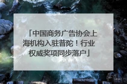 中国商务广告协会上海机构入驻普陀！行业权威奖项同步落户