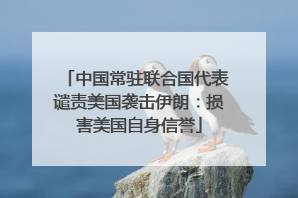 中国常驻联合国代表谴责美国袭击伊朗：损害美国自身信誉