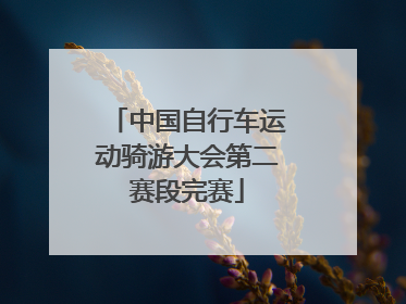 中国自行车运动骑游大会第二赛段完赛