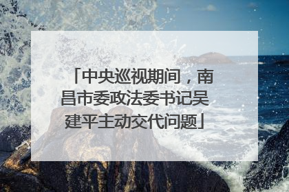 中央巡视期间，南昌市委政法委书记吴建平主动交代问题