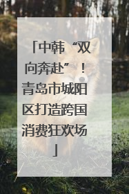 中韩“双向奔赴”！青岛市城阳区打造跨国消费狂欢场