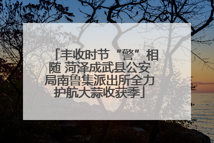 丰收时节“警”相随 菏泽成武县公安局南鲁集派出所全力护航大蒜收获季