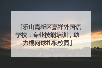 乐山高新区嘉祥外国语学校：专业技能培训，助力棍网球扎根校园