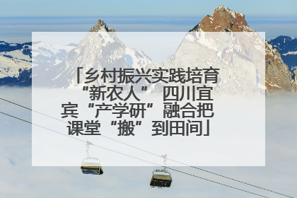 乡村振兴实践培育“新农人” 四川宜宾“产学研”融合把课堂“搬”到田间