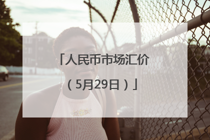 人民币市场汇价（5月29日）