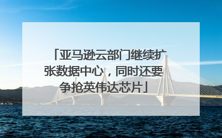 亚马逊云部门继续扩张数据中心，同时还要争抢英伟达芯片