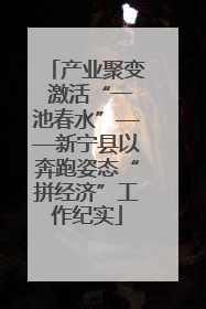 产业聚变 激活“一池春水”——新宁县以奔跑姿态“拼经济”工作纪实