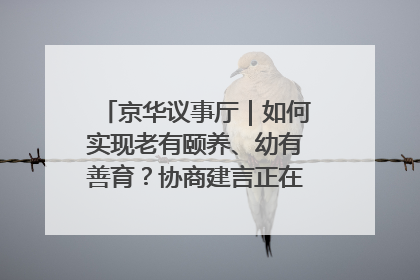京华议事厅｜如何实现老有颐养、幼有善育？协商建言正在进行中……