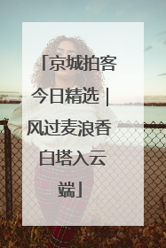 京城拍客今日精选｜风过麦浪香 白塔入云端