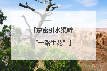 京密引水渠畔“一路生花”