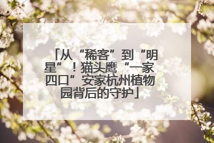 从“稀客”到“明星”！猫头鹰“一家四口”安家杭州植物园背后的守护