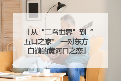 从“二鸟世界”到“五口之家” 一对东方白鹳的黄河口之恋