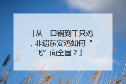 从一口锅到千只鸡，非遗东安鸡如何“飞”向全国？