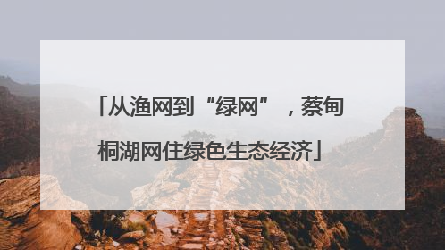 从渔网到“绿网”，蔡甸桐湖网住绿色生态经济