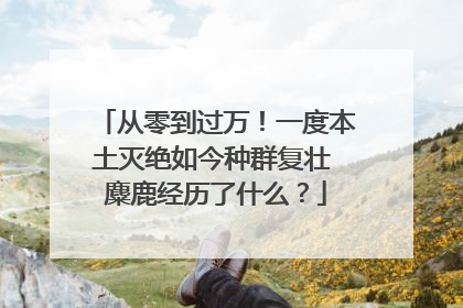 从零到过万！一度本土灭绝如今种群复壮 麋鹿经历了什么？