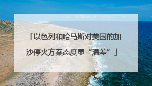 以色列和哈马斯对美国的加沙停火方案态度显“温差”