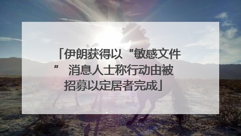 伊朗获得以“敏感文件” 消息人士称行动由被招募以定居者完成