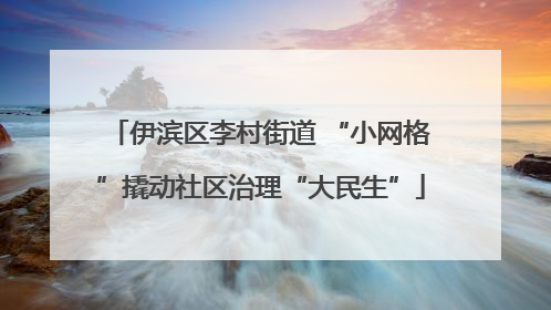 伊滨区李村街道 “小网格”撬动社区治理“大民生”