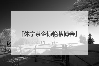 休宁茶企惊艳茶博会