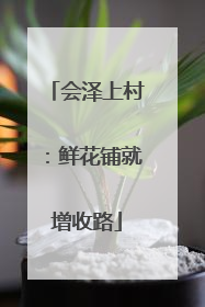 会泽上村：鲜花铺就增收路
