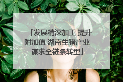 发展精深加工 提升附加值 湖南生猪产业谋求全链条转型