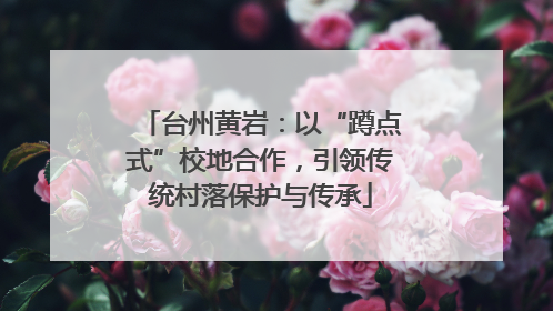 台州黄岩：以“蹲点式”校地合作，引领传统村落保护与传承