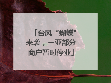 台风“蝴蝶”来袭，三亚部分商户暂时停业