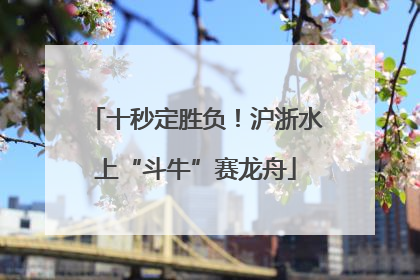 十秒定胜负！沪浙水上“斗牛”赛龙舟