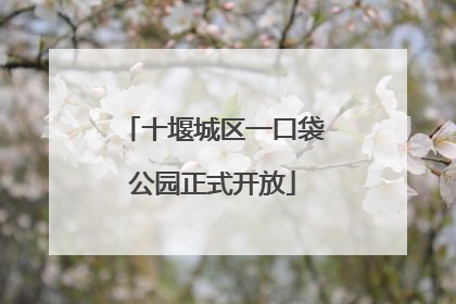 十堰城区一口袋公园正式开放