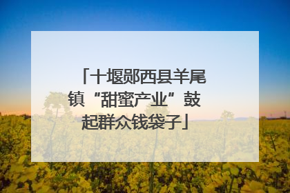 十堰郧西县羊尾镇“甜蜜产业”鼓起群众钱袋子