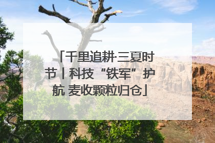 千里追耕·三夏时节丨科技“铁军”护航 麦收颗粒归仓