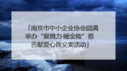 南京市中小企业协会圆满举办“聚微力·暖金陵”慈善献爱心暨义卖活动