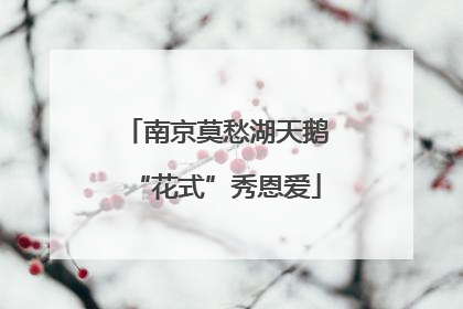 南京莫愁湖天鹅“花式”秀恩爱