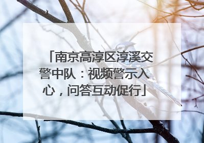 南京高淳区淳溪交警中队：视频警示入心，问答互动促行
