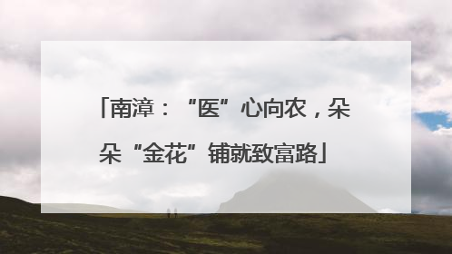 南漳：“医”心向农，朵朵“金花”铺就致富路