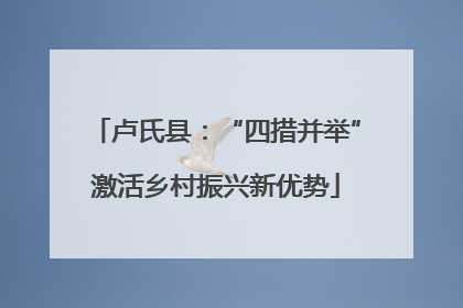 卢氏县：“四措并举”激活乡村振兴新优势