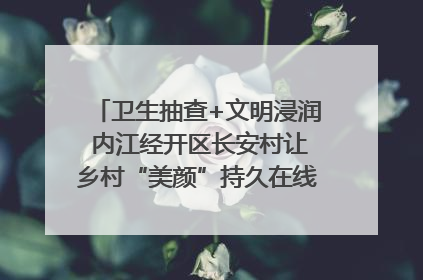 卫生抽查+文明浸润 内江经开区长安村让乡村“美颜”持久在线｜万千气象看四川