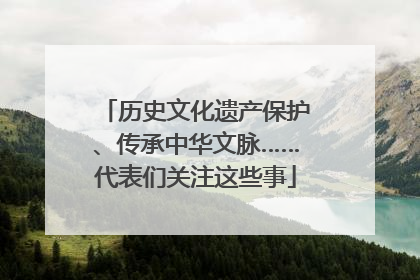 历史文化遗产保护、传承中华文脉……代表们关注这些事