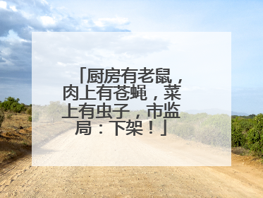 厨房有老鼠，肉上有苍蝇，菜上有虫子，市监局：下架！